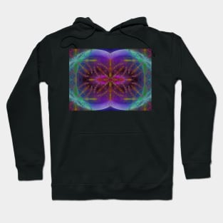 Mitotic Kaleido Hoodie